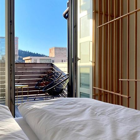 Little Plaza Duplex Apartman Ljubljana Kültér fotó